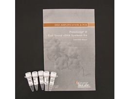 PROTOSCRIPT II FIRST STRAND CDNA SYN KT
