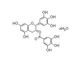 (-)-EPIGALLOCATECHIN GALLATE H