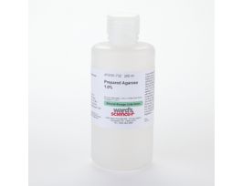 Prepared Agarose, 1.0%, 200ml Bottle