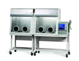 PROTECTOR HEPA GLOVE BX CN