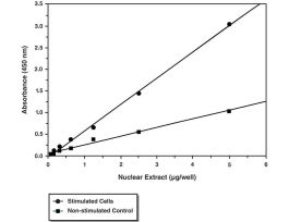 KIT ASSAY 96 WELL NF-KB(P65) TRSPTN FCTR