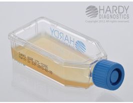 SABHI AGAR PLSTC HARDYFLASK