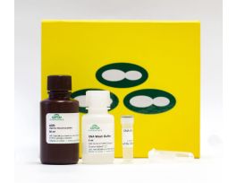 KIT ZYMOCLEAN GEL DNA RECOVERY 50PREPS