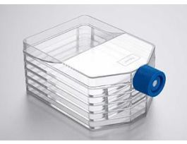 FLASK MF-5 LAYER CL I PEPTIDE