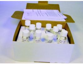 KIT PI MARKER BROAD RANGE PH-3-10