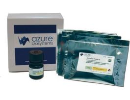 AZURERED FLUORESCENT PROTEIN STAIN