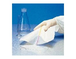 ISOPROPYL ALCOHOL 100% GAL CS4