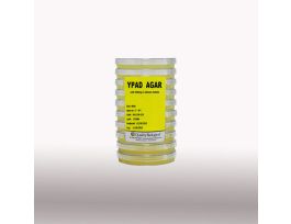 INYPAD W/400MG AS,CS100X40MLIN