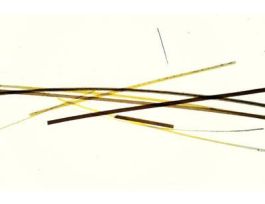 HAIR ( CAT HUMAN & SHEEP)