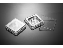 CULTURE PLATES TREATED4 WELLS ST