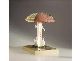 MODEL MUSHROOM
