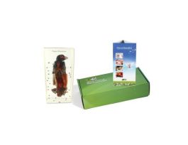 EMBEDMENT PIGEON DISSECTION