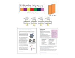 KIT A BANG TO THE HEAD SINGLE