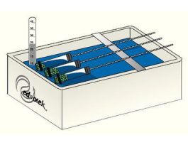 AP BIO 6- CELL RESPIRATION