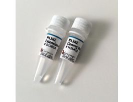 PH.D. CLONING SYSTEM