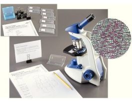 CELL THEORY: A MICROSCOPIC JOURNEY