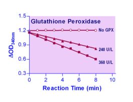 KIT GTN PEROXD ASSAY ENZYCHROM 100 TESTS
