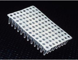 PLATE ULTRA NTRL 0.2ML CS25