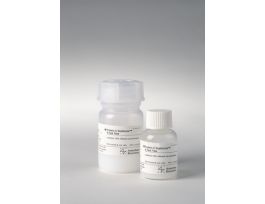 PROTEIN G SEPHAROSE 4 FF 90UM 5ML AFNTY