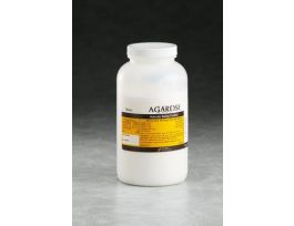 BIOMAX BASIC AGAROSE - 500GM