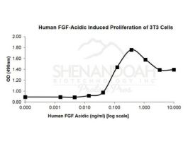 HUMAN FGF ACIDIC (FGF-1) 1MG