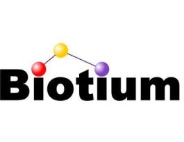 GELGREEN 10000X IN DMSO