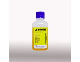 LB BROTH (LENNOX) CS10X500ML