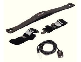 EXERCISE HR MON. FOR LABPR&CBL VERNIE