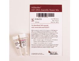 NEBUILDER HIFI DNA ASSEMBLY MME2621S