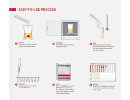 BAX SYSTEM REAL TIME L.MONO KIT