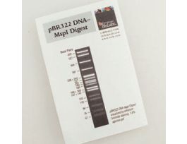 PBR322 DNA - MSP I DIGEST