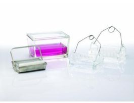 STAINING DISH+COVER GLASS CS6