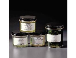 GREEN ALGAE SET 4 volx.ulva.spiro.chlamy