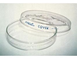 DISH PETRI 100X20MM 12/PK CS