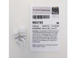 T3 RNA POLYMERASE