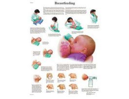CHART BREASTFEEDING