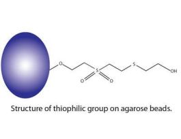 RESIN THIOPHILIC 10ML F/IG PUR