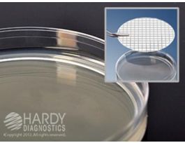MEDIUM R2A AGAR SM 15X60MM PLTD PK10
