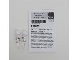 PROTEINASE K, MOLECULAR BIOGRADE - 2 ML