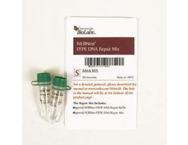 NEBNEXT FFPE DNA REPAIR MIX
