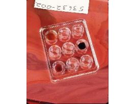 PLATE SPOT 9 HOLE CS