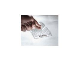 Sealing tape, polyester, sterile