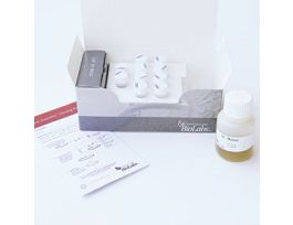 GIBSON ASSEMBLY CLONING KIT