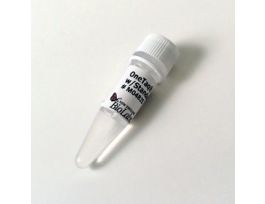 ONETAQ 2X MASTMIX W/BUFF 500RX