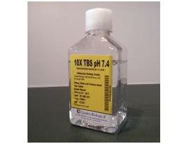 10X TBS PH 7.4 10L