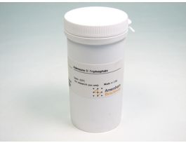ADENOSINE 5-TRIPHOSPHATE 25UM
