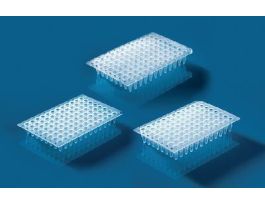 PCR 96 PLATE 0.15ML NON-SKIRTED PK 50