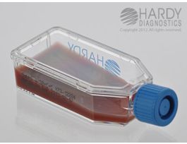 AGAR SABHI+Z2486 W/BLOOD 12ML HARDYFLASK