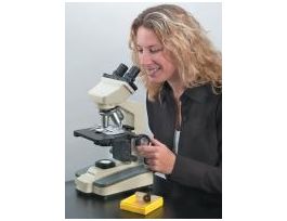 PARAMECIUM C - FISSION WM