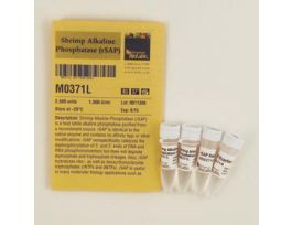 SHRIMP ALKALINE PHOSPHATASE (RSAP).